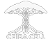 TPT Cellular Labs